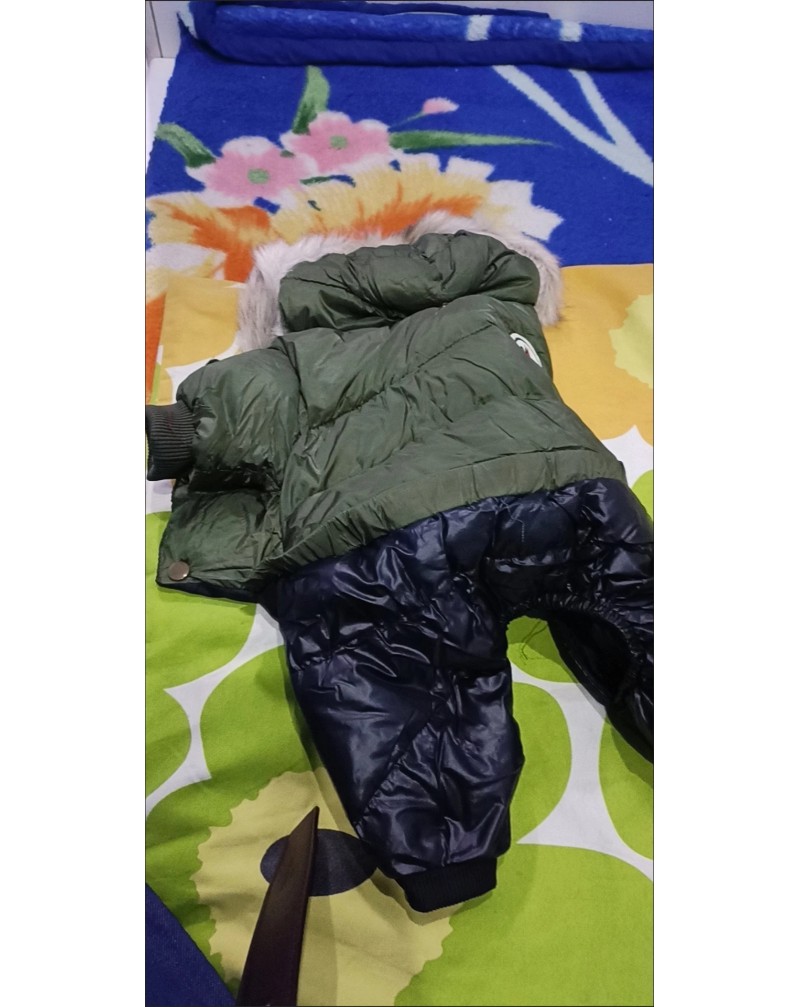 モンクレール ペットダウンジャケット 可愛い 防寒防水子犬ウェアペット用服ファッションフッド付き