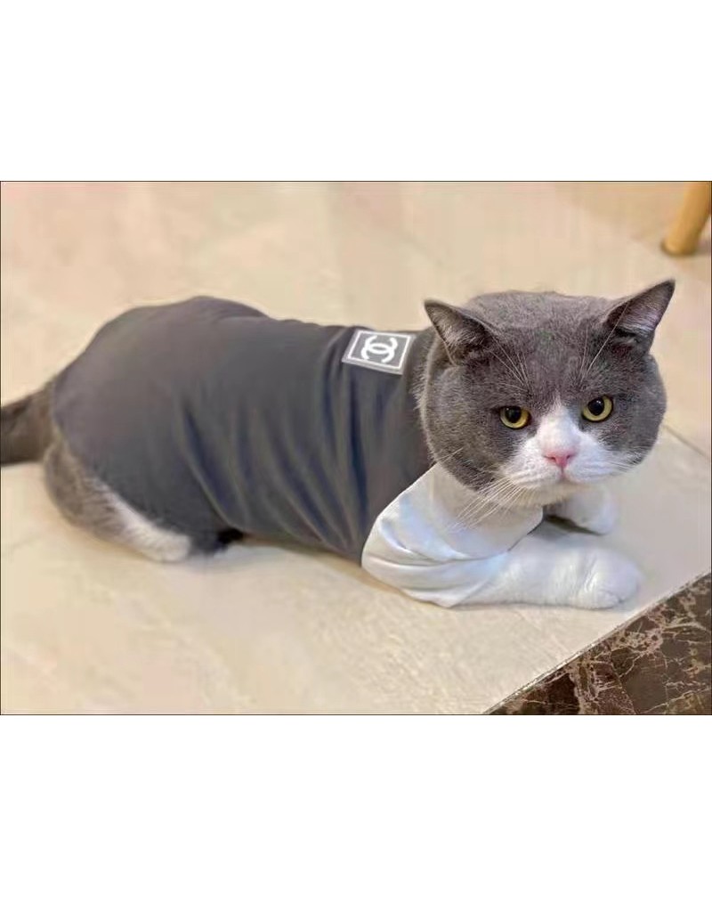 シャネルペット服シャツ猫犬小型中型ペット服可愛い人気